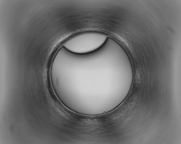 X0000113260535200909101252