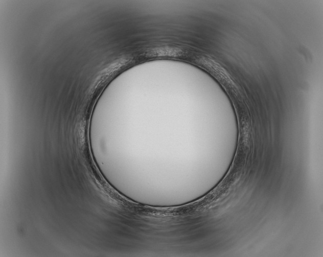 X0000113260537200909101252