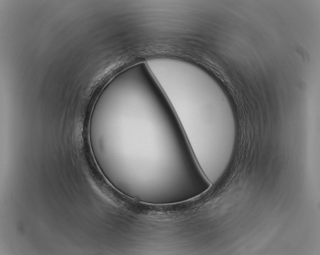 X0000113260538200909101252