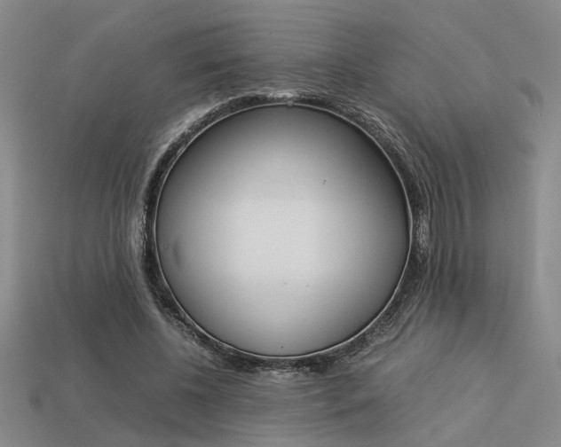 X0000113260540200909101252