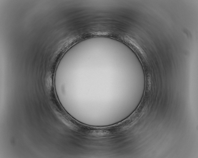 X0000113260541200909101252