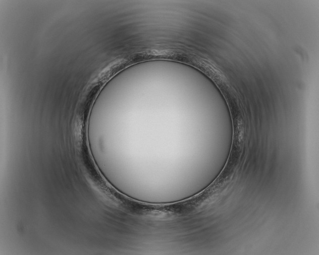 X0000113260542200909101252