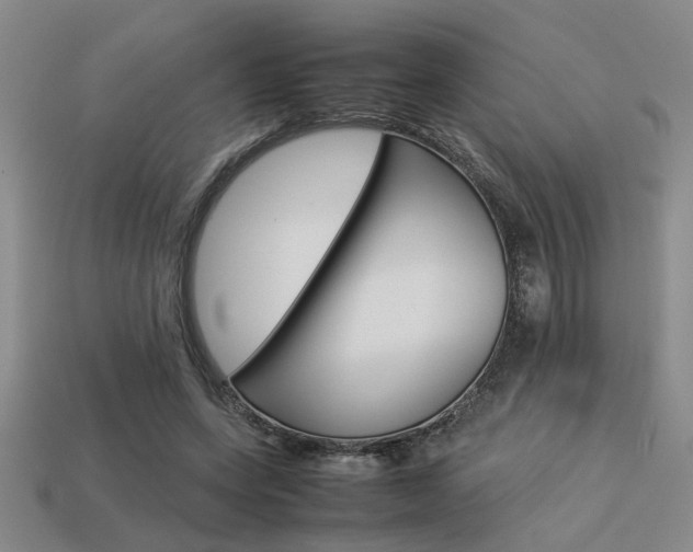 X0000113260543200909101252