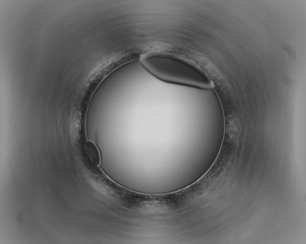 X0000113260544200909101252