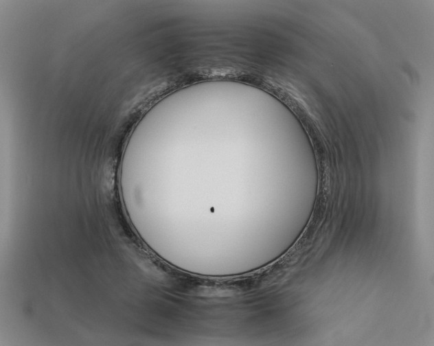 X0000113260545200909101252