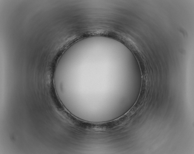 X0000113260546200909101252