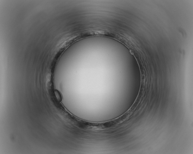 X0000113260548200909101252