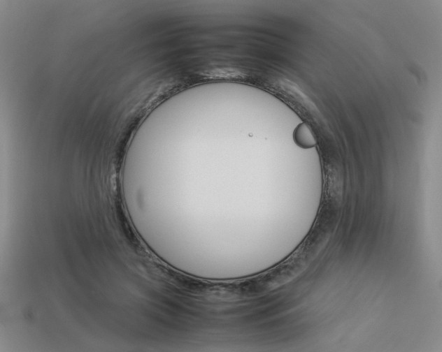 X0000113260549200909101252