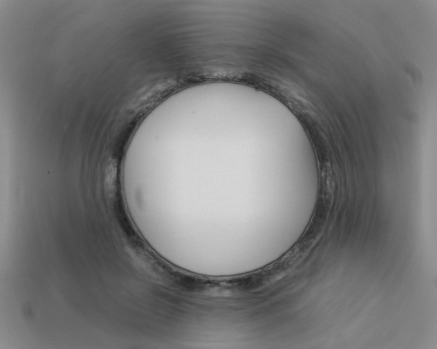 X0000113260550200909101252