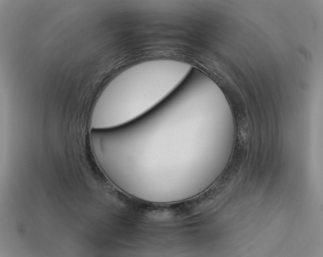 X0000113260551200909101252