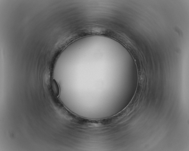 X0000113260552200909101252