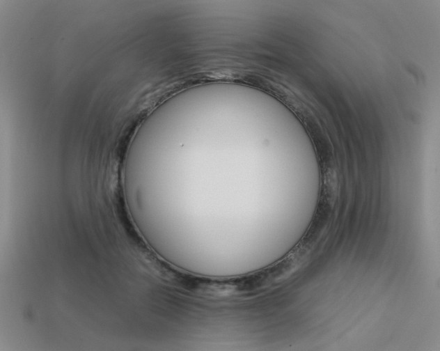X0000113260554200909101252