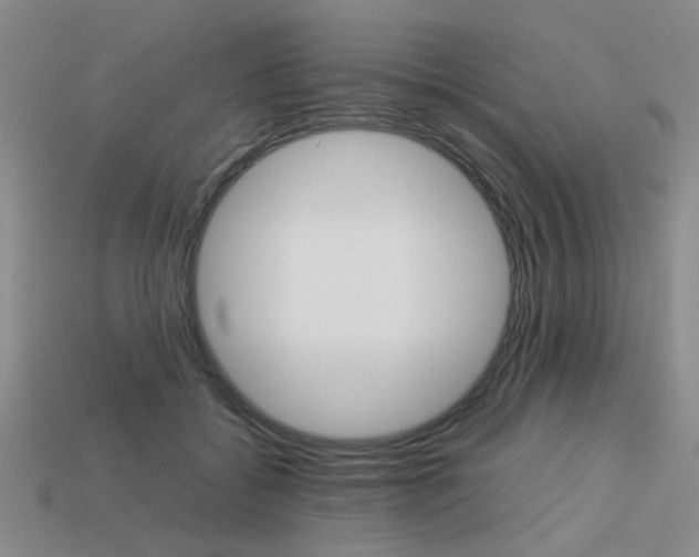 X0000113260556200909101252
