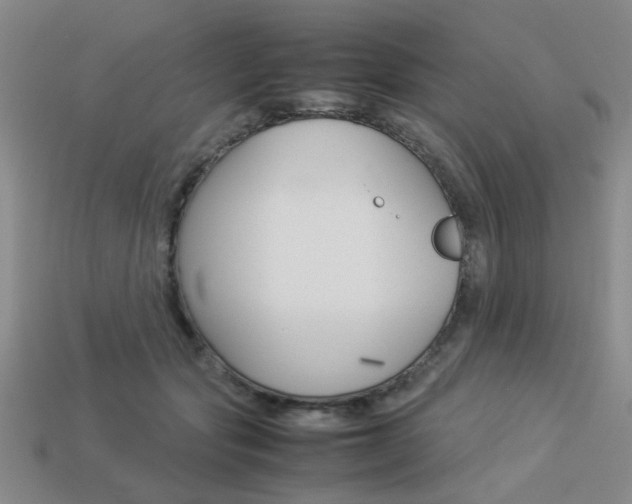 X0000113260557200909101252