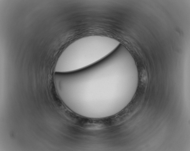 X0000113260559200909101252