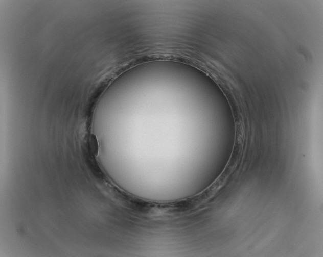 X0000113260560200909101252