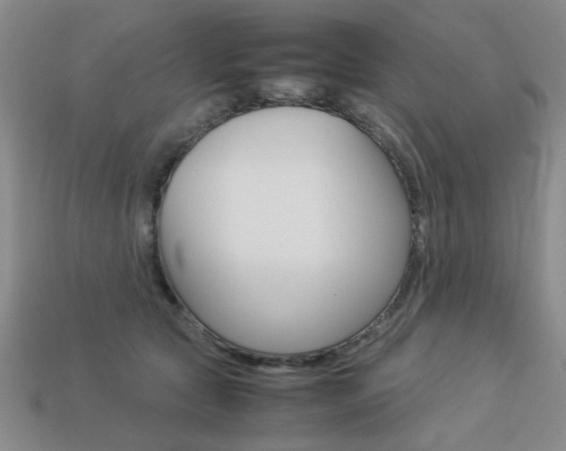 X0000113260561200909101252