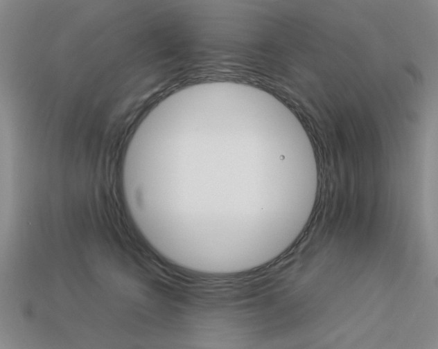 X0000113260566200909101252