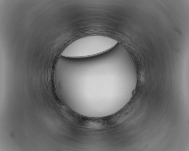 X0000113260567200909101252