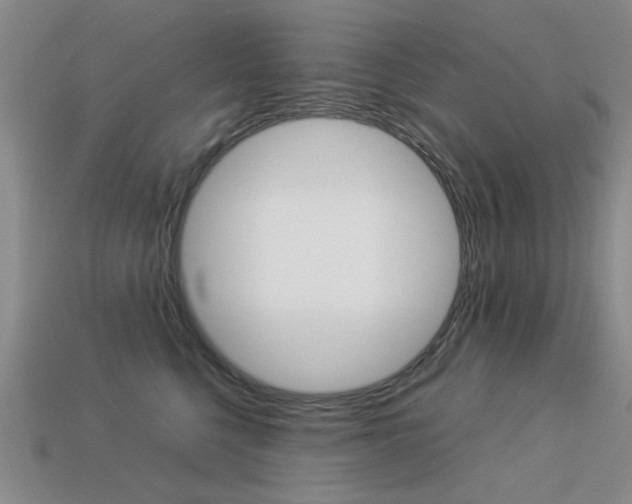 X0000113260568200909101252