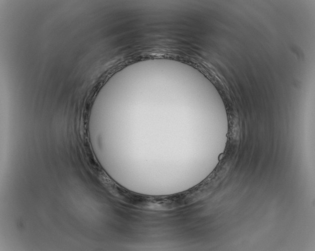 X0000113260569200909101252