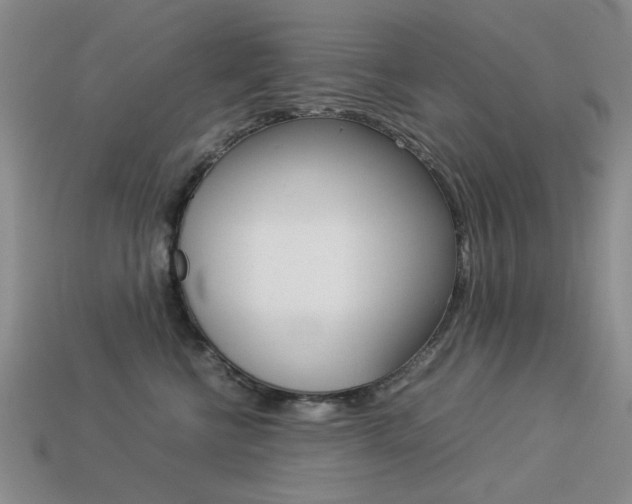 X0000113260570200909101252