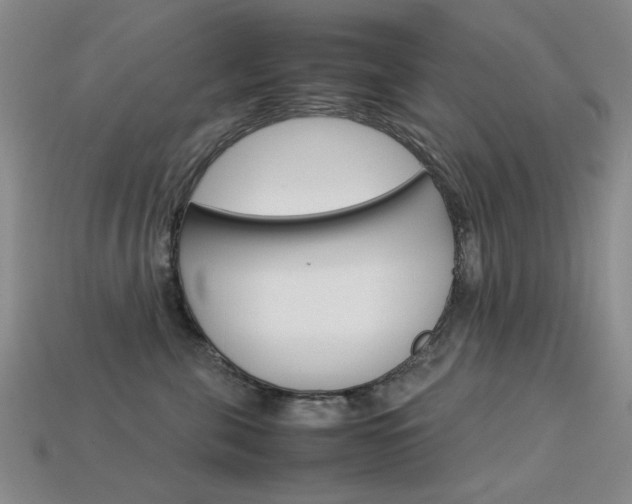 X0000113260571200909101252
