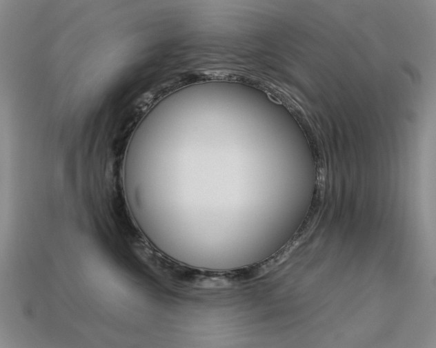 X0000113260572200909101252