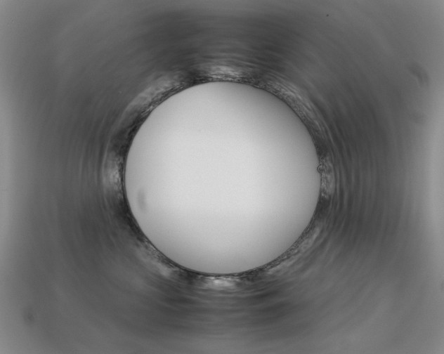 X0000113260573200909101252