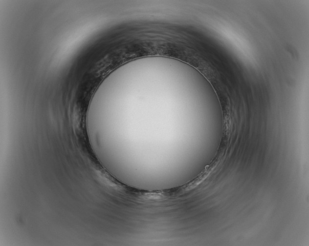 X0000113260574200909101252