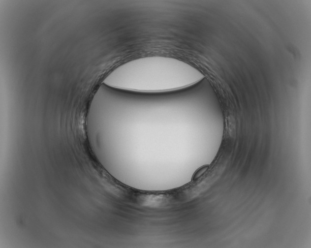 X0000113260575200909101252