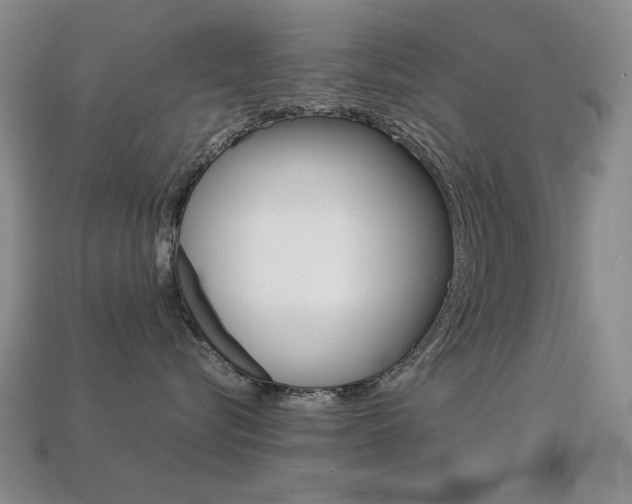 X0000113260576200909101252