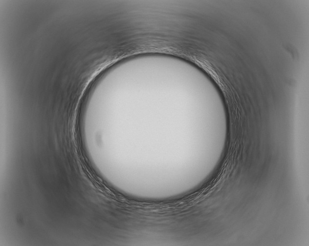 X0000113260579200909101252
