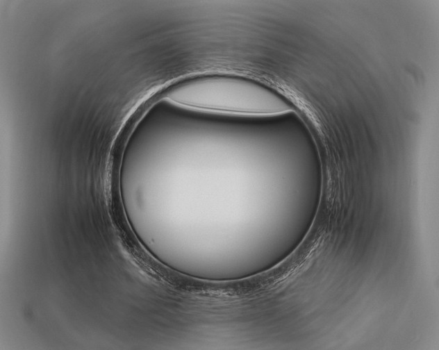 X0000113260580200909101252