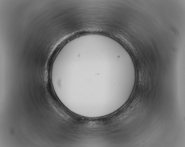 X0000113260584200909101252