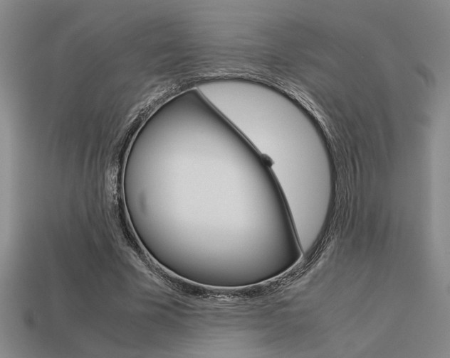 X0000113260585200909101252