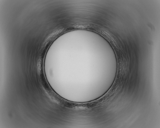 X0000113260586200909101252