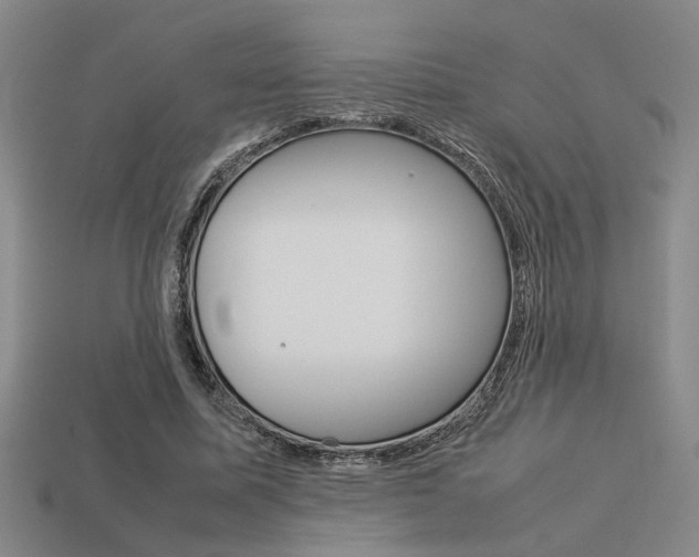 X0000113260587200909101252