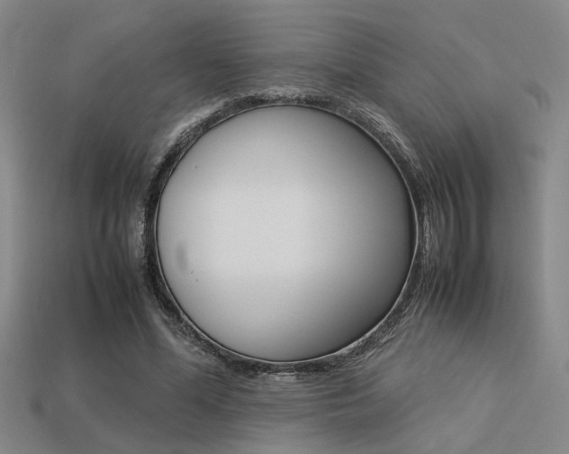 X0000113260588200909101252