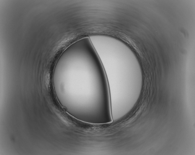 X0000113260589200909101252