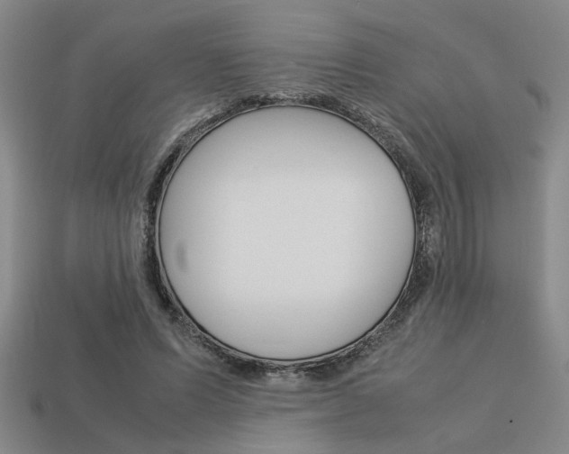 X0000113260591200909101251
