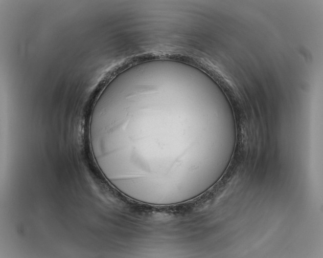 X0000113260592200909101251