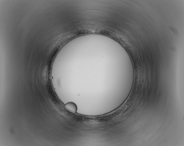 X0000113260594200909101251