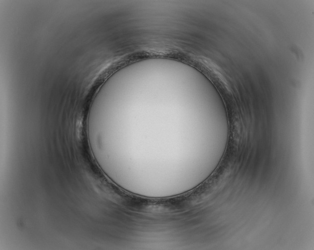 X0000113260596200909101251