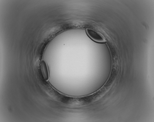 X0000113260597200909101251