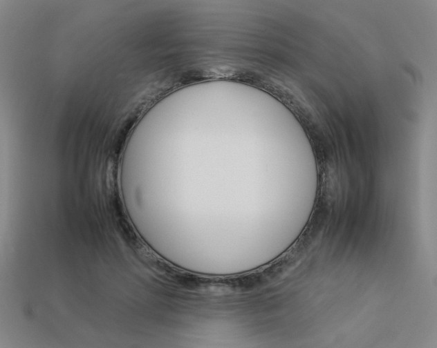 X0000113260598200909101251