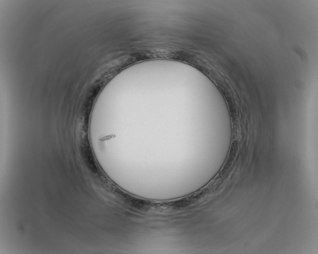 X0000113260599200909101251