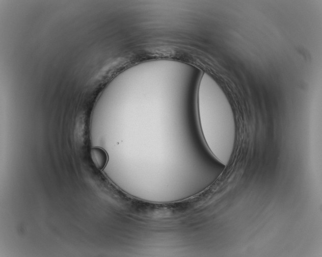 X0000113260600200909101251