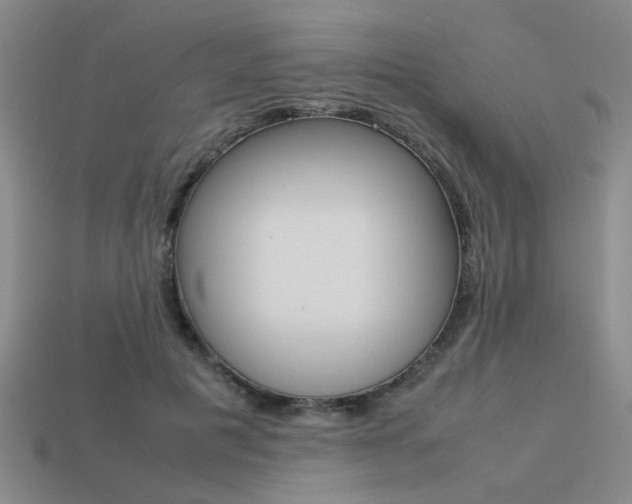 X0000113260601200909101251