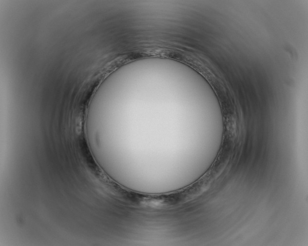X0000113260602200909101251